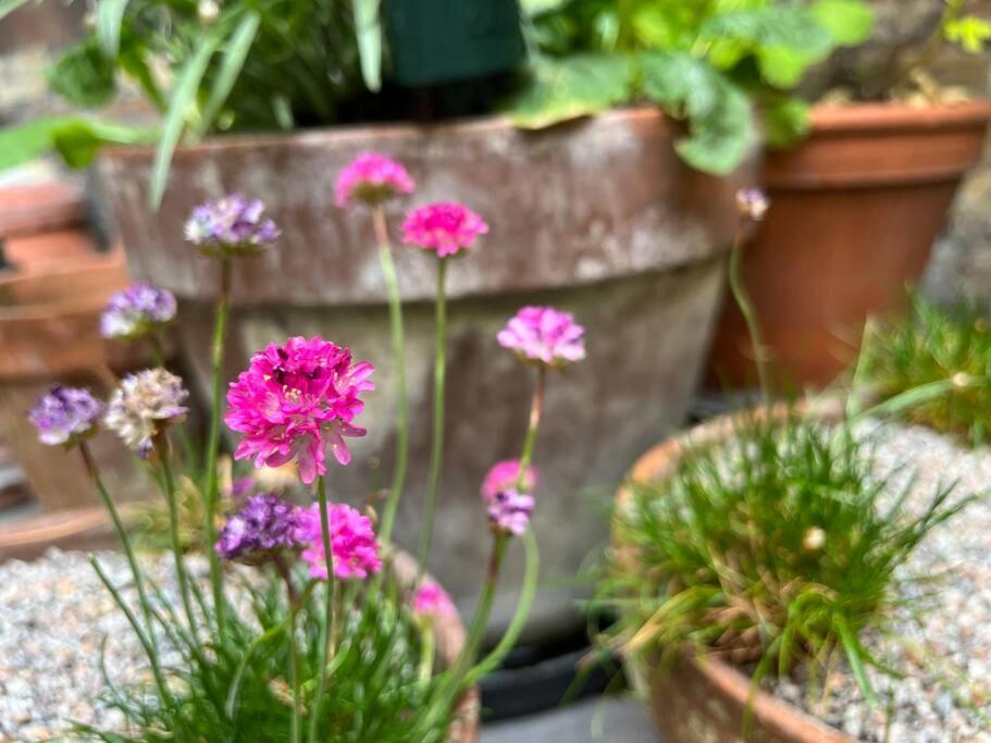 ロンドン Kings Cross, Self-Contained House & Private Gardenヴィラ エクステリア 写真