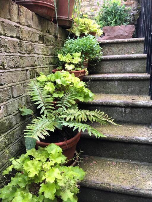 ロンドン Kings Cross, Self-Contained House & Private Gardenヴィラ エクステリア 写真